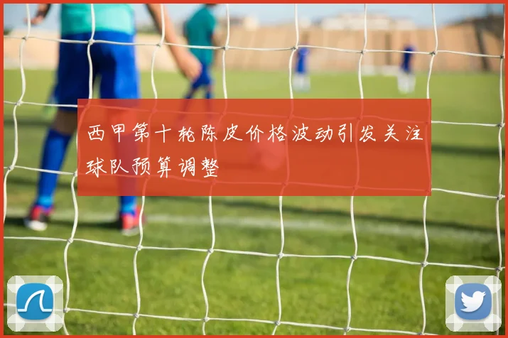 西甲第十轮陈皮价格波动引发关注球队预算调整