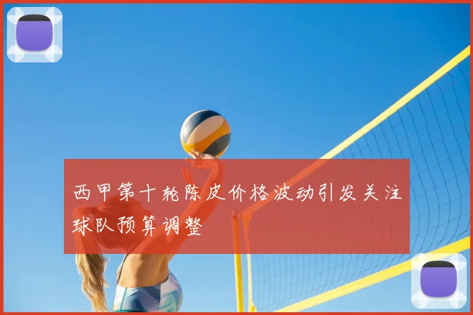 西甲第十轮陈皮价格波动引发关注球队预算调整