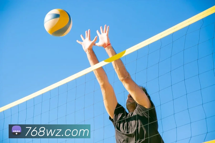 App Interface Preview